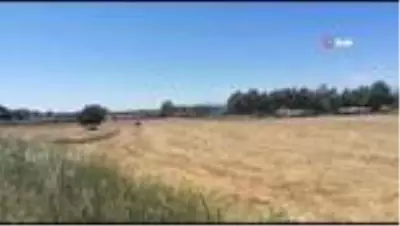 Anız yangınına ilk müdahaleyi ağaç dallarıyla yaptılar Anız yangınına ilk müdahaleyi ağaç dallarıyla yaptılar