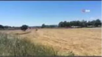 Anız yangınına ilk müdahaleyi ağaç dallarıyla yaptılar Anız yangınına ilk müdahaleyi ağaç dallarıyla yaptılar