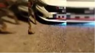 Aracın motoruna uyuşturucu saklayan şahıslar adliyede