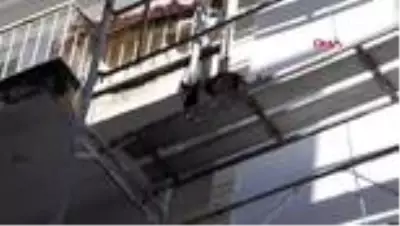 AYDIN Kediyi kurtarmak için itfaiye seferber oldu