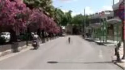 Bayram kısıtlamasında polis uygulamaları devam ediyor