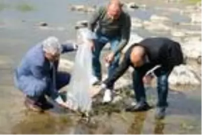 Bitlis'te 2 ayrı göle 70 bin yavru balık bırakıldı