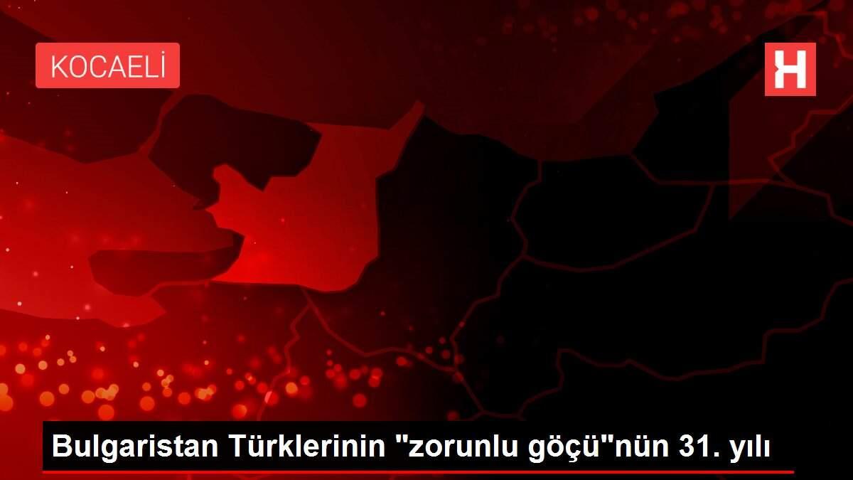 Bulgaristan Türklerinin