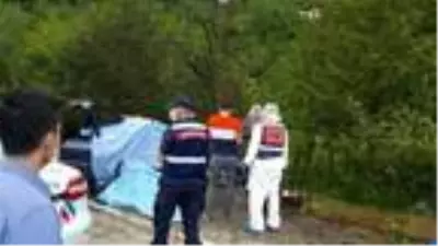Çay işçilerinin otomobili direğe çarpıp, alev aldı: 3 ölü, 1 yaralı