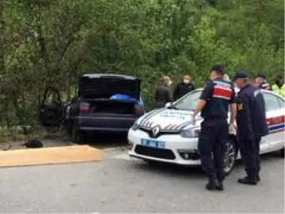 Çay toplamaya giderken canlarından oldular Çay toplamaya giderken canlarından oldular