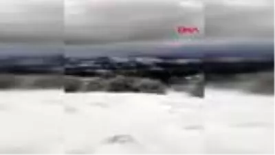 Çorum'da 45 büyük ve küçükbaş hayvan donarak telef oldu Çorum'da 45 büyük ve küçükbaş hayvan donarak telef oldu
