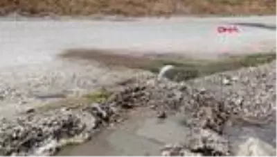 Vatandaşlar şaşkın! Kara yolundan çıkan termal su, asfaltı deldi Vatandaşlar şaşkın! Kara yolundan çıkan termal su, asfaltı deldi