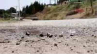 Vatandaşlar şaşkın! Kara yolundan çıkan termal su, asfaltı deldi Vatandaşlar şaşkın! Kara yolundan çıkan termal su, asfaltı deldi
