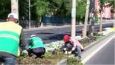 DİYARBAKIR Sokakların boş kaldığı Diyarbakır’da refüjlere 2 milyon çiçek dikilecek