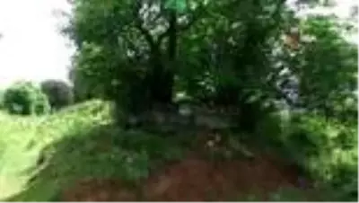 Düzce'de saklı tarih ve doğa güzelliği gün yüzüne çıkıyor Düzce'de saklı tarih ve doğa güzelliği gün yüzüne çıkıyor