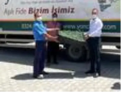 Düziçi'nde 35 çiftçiye 73 bin domates fidesi dağıtıldı