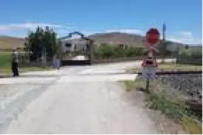 Elazığ'da tren sürüye çarptı: 21 hayvan öldü Elazığ'da tren sürüye çarptı: 21 hayvan öldü