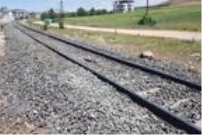 Elazığ'da tren sürüye çarptı: 21 hayvan öldü Elazığ'da tren sürüye çarptı: 21 hayvan öldü