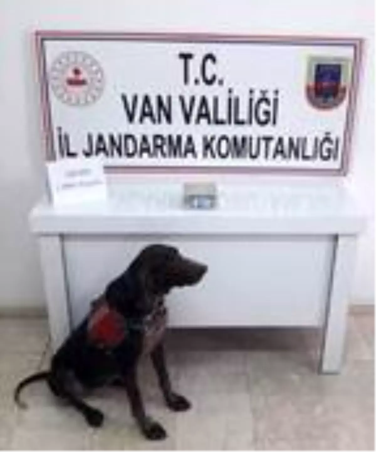 Erciş'te, bahçede toprağa gömülü 1 kilo 'eroin' ele geçirildi