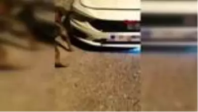 ESKİŞEHİR Otomobilin motorundan uyuşturucu çıktı