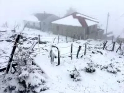 Giresun yaylalarında mayıs karı yaylacıları şaşırttı