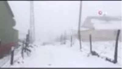 Giresun yaylalarında ’mayıs karı’ yaylacıları şaşırttı