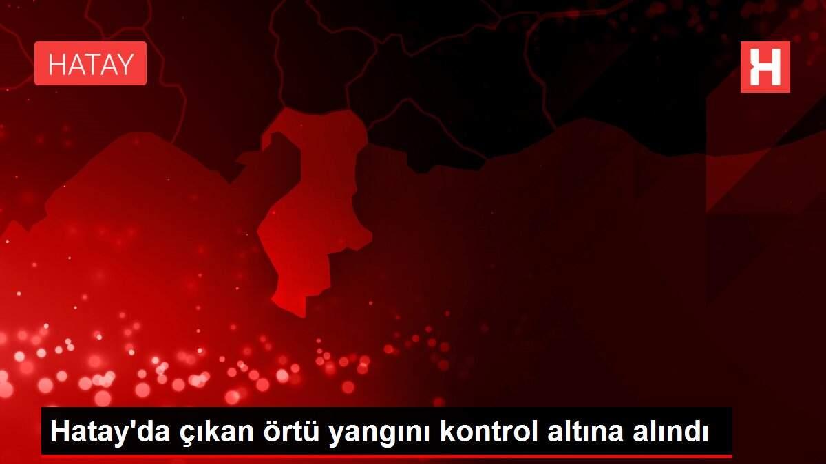 Hatay'da çıkan örtü yangını kontrol altına alındı