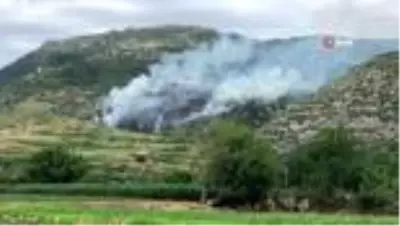 Hatay'da çıkan örtü yangını korkuttu Hatay'da çıkan örtü yangını korkuttu