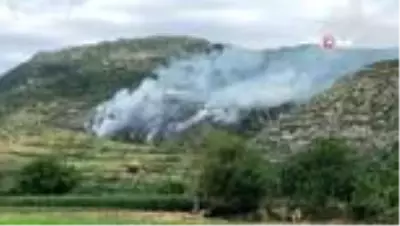 Hatay'da çıkan örtü yangını korkuttu Hatay'da çıkan örtü yangını korkuttu