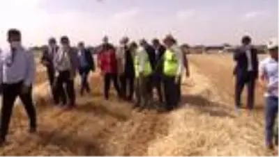Hububat fiyatı üreticiyi sevindirdi Hububat fiyatı üreticiyi sevindirdi