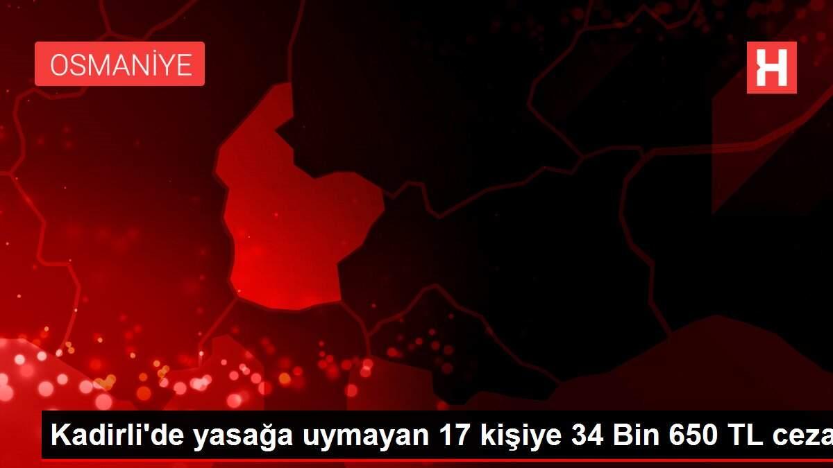Kadirli'de yasağa uymayan 17 kişiye 34 Bin 650 TL ceza