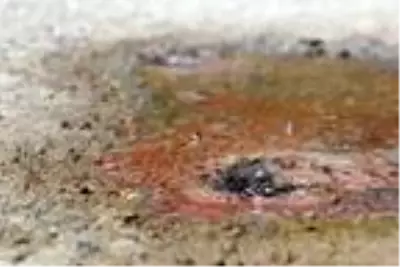 Karayolunun altından geçen sıcak su kaynağı asfaltı deldi Karayolunun altından geçen sıcak su kaynağı asfaltı deldi