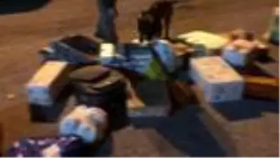 Kargo aracında 34 bin uyuşturucu hap ele geçirildi