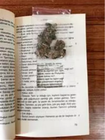 Kargodan gelen kitaptan uyuşturucu çıktı Kargodan gelen kitaptan uyuşturucu çıktı