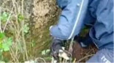 Kendisini uçurumdan kurtaran itfaiyeye böyle teşekkür etti Kendisini uçurumdan kurtaran itfaiyeye böyle teşekkür etti