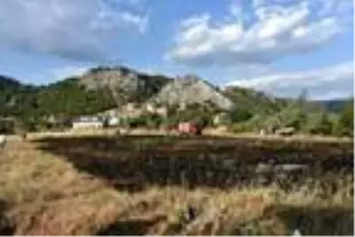 Kısa devre yapan enerji nakil hattı, 9 bin metrekarelik alanda yangın çıkardı Kısa devre yapan enerji nakil hattı, 9 bin metrekarelik alanda yangın çıkardı