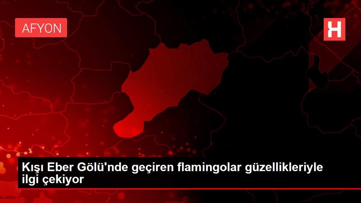 Kışı Eber Gölü'nde geçiren flamingolar güzellikleriyle ilgi çekiyor