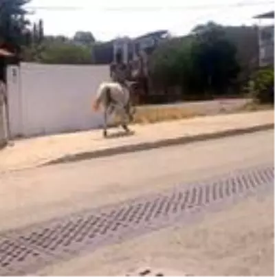Kısıtlamaya rağmen sokakta ata bindi Kısıtlamaya rağmen sokakta ata bindi