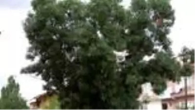 Kısıtlamaya uydu, ekmeğini bakkaldan drone ile aldı Kısıtlamaya uydu, ekmeğini bakkaldan drone ile aldı