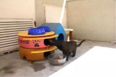Konak'ta can dostlara da bayram hediyesi Konak'ta can dostlara da bayram hediyesi