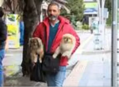 Köpekleriyle çıktı, sokak hayvanlarına mama bıraktı Köpekleriyle çıktı, sokak hayvanlarına mama bıraktı