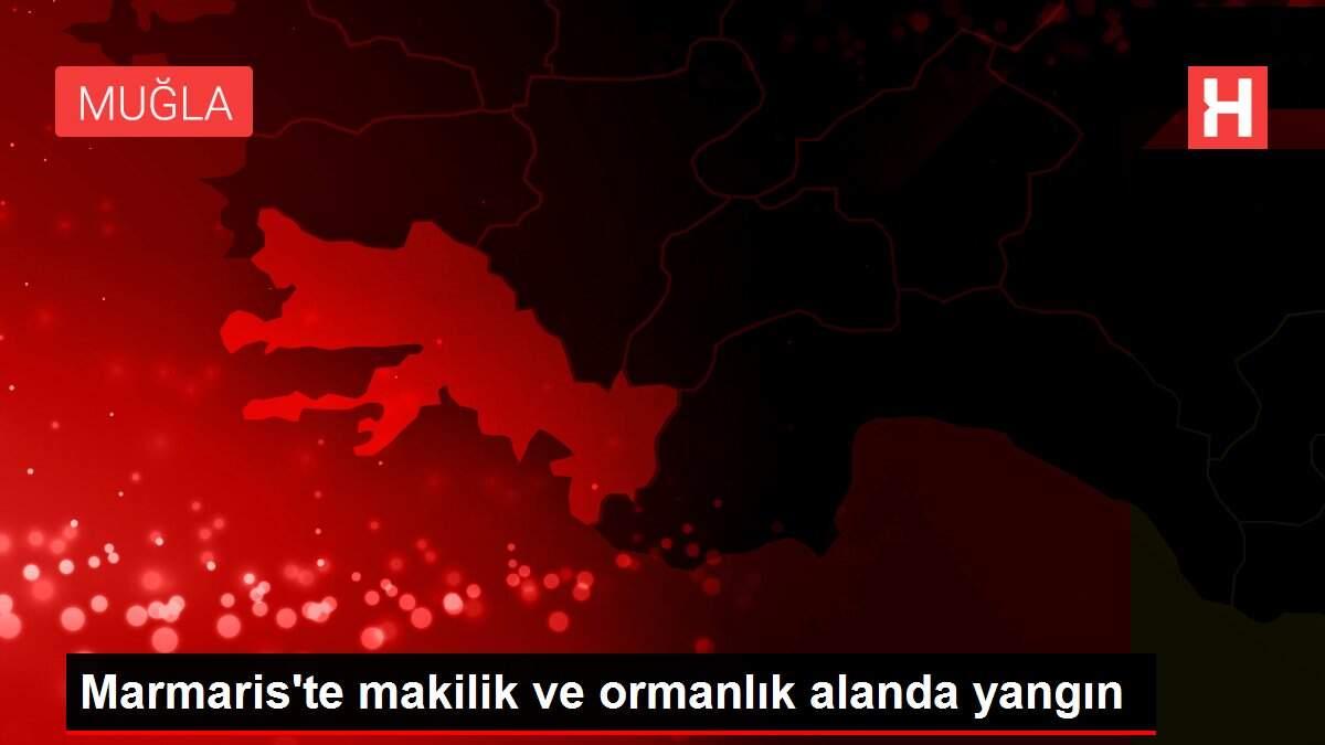 Marmaris'te makilik ve ormanlık alanda yangın