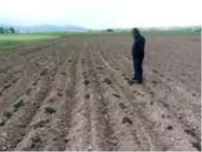 Mayıs ayında