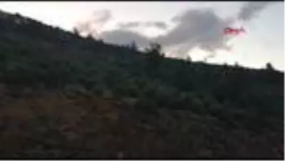 Mersin’de orman yangını