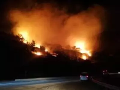 Mersin'de orman yangını: 3 hektar kızılçam ormanı zarar gördü Mersin'de orman yangını: 3 hektar kızılçam ormanı zarar gördü