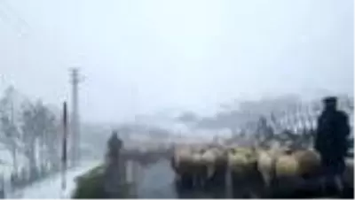 Ordu’nun yüksek kesimleri beyaza büründü