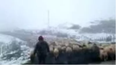 Ordu'nun yüksek kesimleri beyaza büründü Ordu'nun yüksek kesimleri beyaza büründü