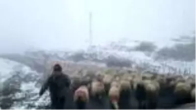 Ordu'nun yüksek kesimleri beyaza büründü Ordu'nun yüksek kesimleri beyaza büründü