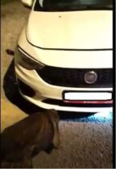 Otomobilin motorundan uyuşturucu çıktı Otomobilin motorundan uyuşturucu çıktı