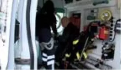Pendik'te İETT otobüsü sulama aracına çarptı: 7 yaralı