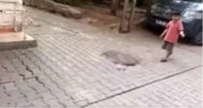Pet şişeyle oynayan Yusuf'a oda dolusu oyuncak sürprizi