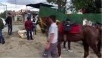 Plajda atlarıyla gezen ciritçilere 16 bin TL ceza Plajda atlarıyla gezen ciritçilere 16 bin TL ceza