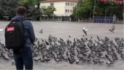 Polis ve basın güvercinleri besledi Polis ve basın güvercinleri besledi