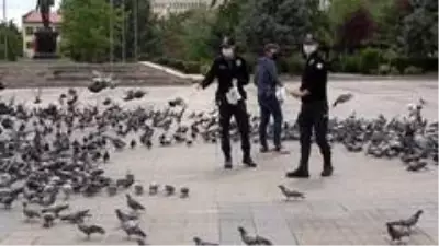 Polis ve basın güvercinleri besledi Polis ve basın güvercinleri besledi