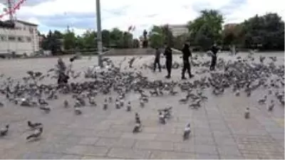 Polis ve basın güvercinleri besledi Polis ve basın güvercinleri besledi